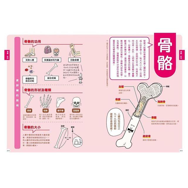 最有梗的人體教室：針筒兄弟與他們的器官小夥伴